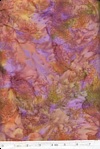 Click here to view this fabric