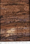 CatHouseQuilts.com Image