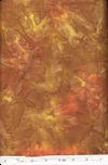 Click here to view this fabric