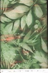 Click here to view this fabric