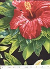 Click here to view this fabric
