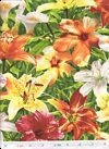 Click here to view this fabric