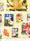 Click here to view this fabric