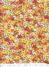 Click here to view this fabric