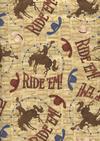 Click here to view this fabric