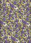Click here to view this fabric