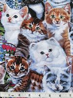 CatHouseQuilts.com Image